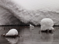 雪の島