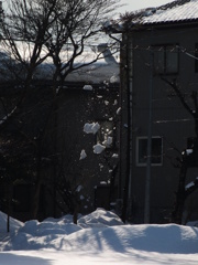 落雪