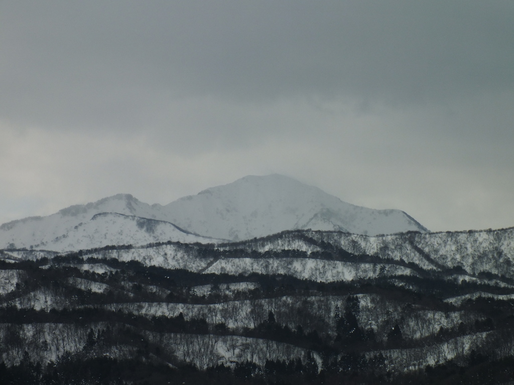 米山