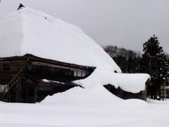 雪の中