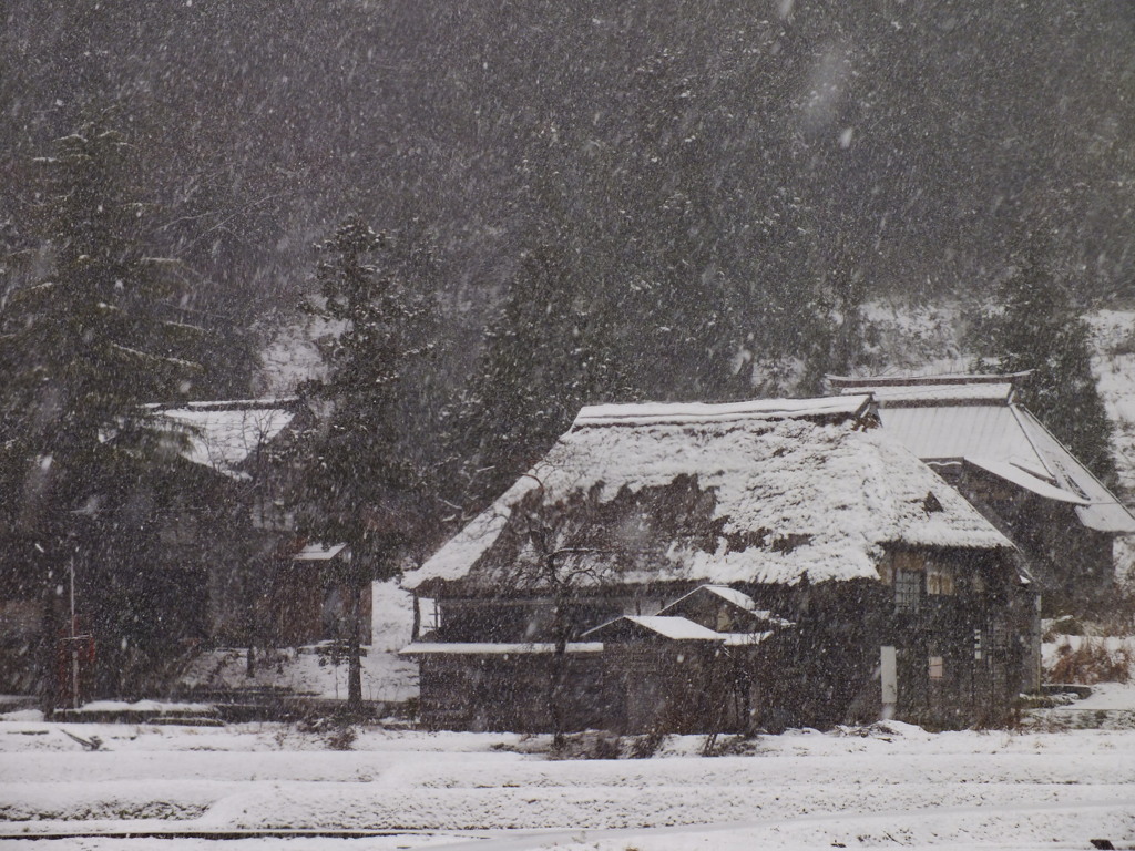 初雪の頃