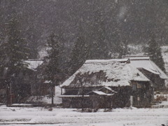 初雪の頃