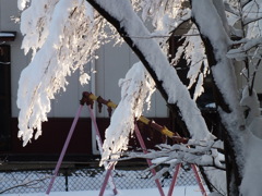 しだれ雪