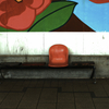 Lonely Bench