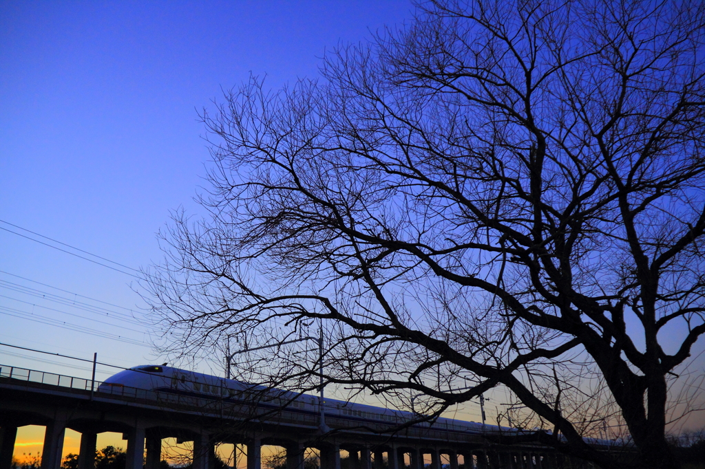 あぁ・・・300系