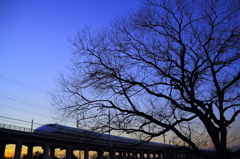 あぁ・・・300系