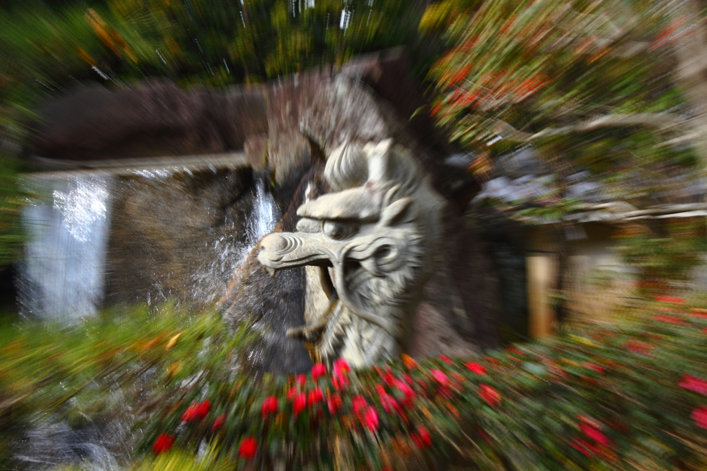 ♪ドラゴン出てきてこんにちは・・