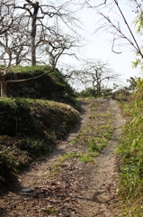 山道