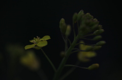 暗闇