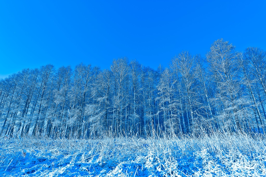 so cold, so clear