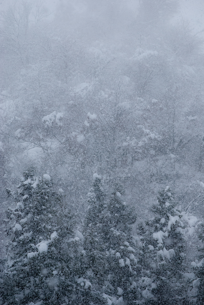 細雪