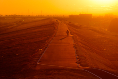 The last rising sun, 2011