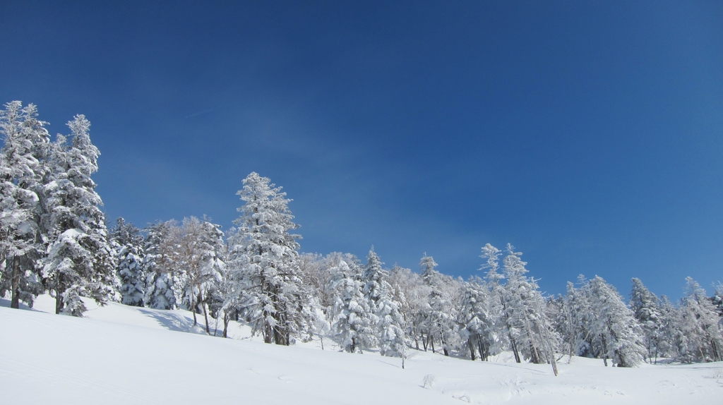 雪景色