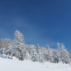 雪景色