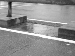 雨