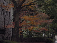 日本