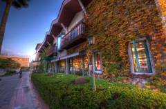 Cafe in the PARK
