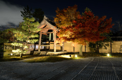 大覚寺枯山水