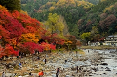 秋の河辺にて