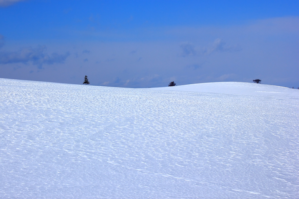 雪の風紋