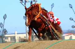 ばんえい十勝開催中！