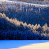 樹氷の朝