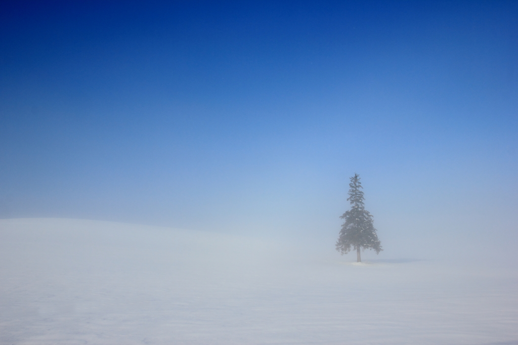 Morning mist