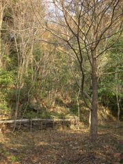 20111218交野森フィールド