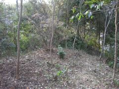 20111218交野森フィールド