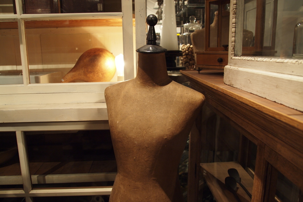 Torso