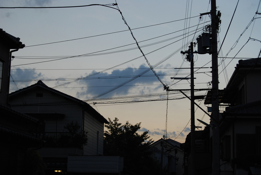 デンセン