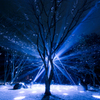 Silent Tonight