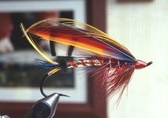 SALMON FLY