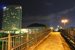 福岡の夜を歩く