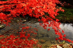 紅葉～２