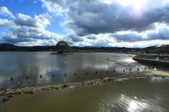 冬の平池緑地公園