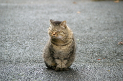 日向ぼっこ
