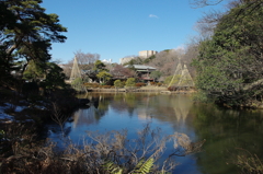 新江戸川公園
