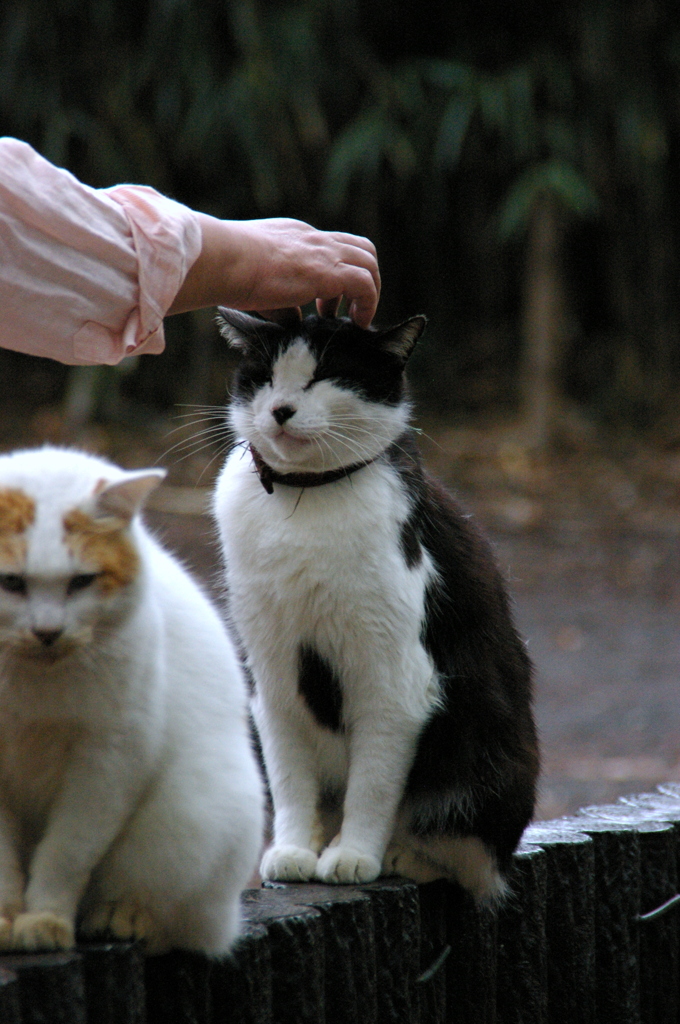 お前の方かよ・・