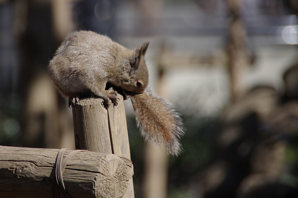 な～んか臭うんだよね・・