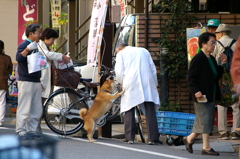 おじいさんが好き