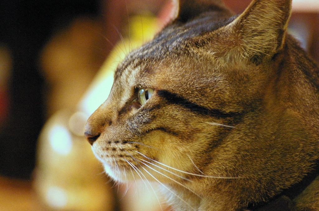 俺ってイケてる～♪