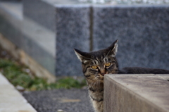 そこは俺の場所なのに・・