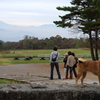 犬と富士