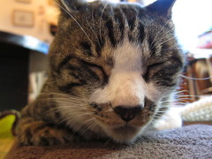 とにかく眠い・・