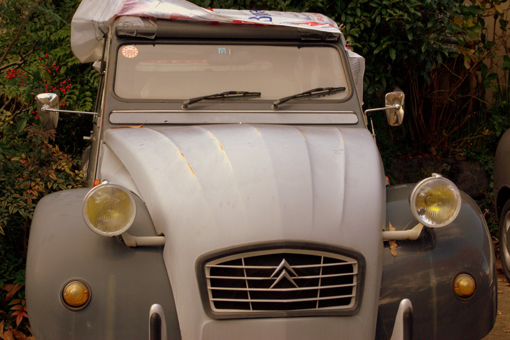 2CV
