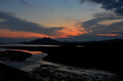 水鳥たちの夕暮れ