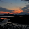 水鳥たちの夕暮れ