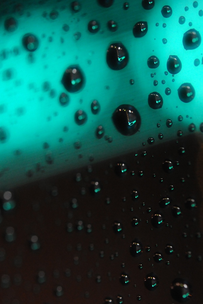 雨の日の夜遊び