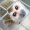 何見てるの～？